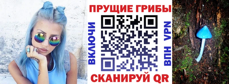 Галлюциногенные грибы Cubensis  где купить наркоту  мориарти наркотические препараты  Старица 